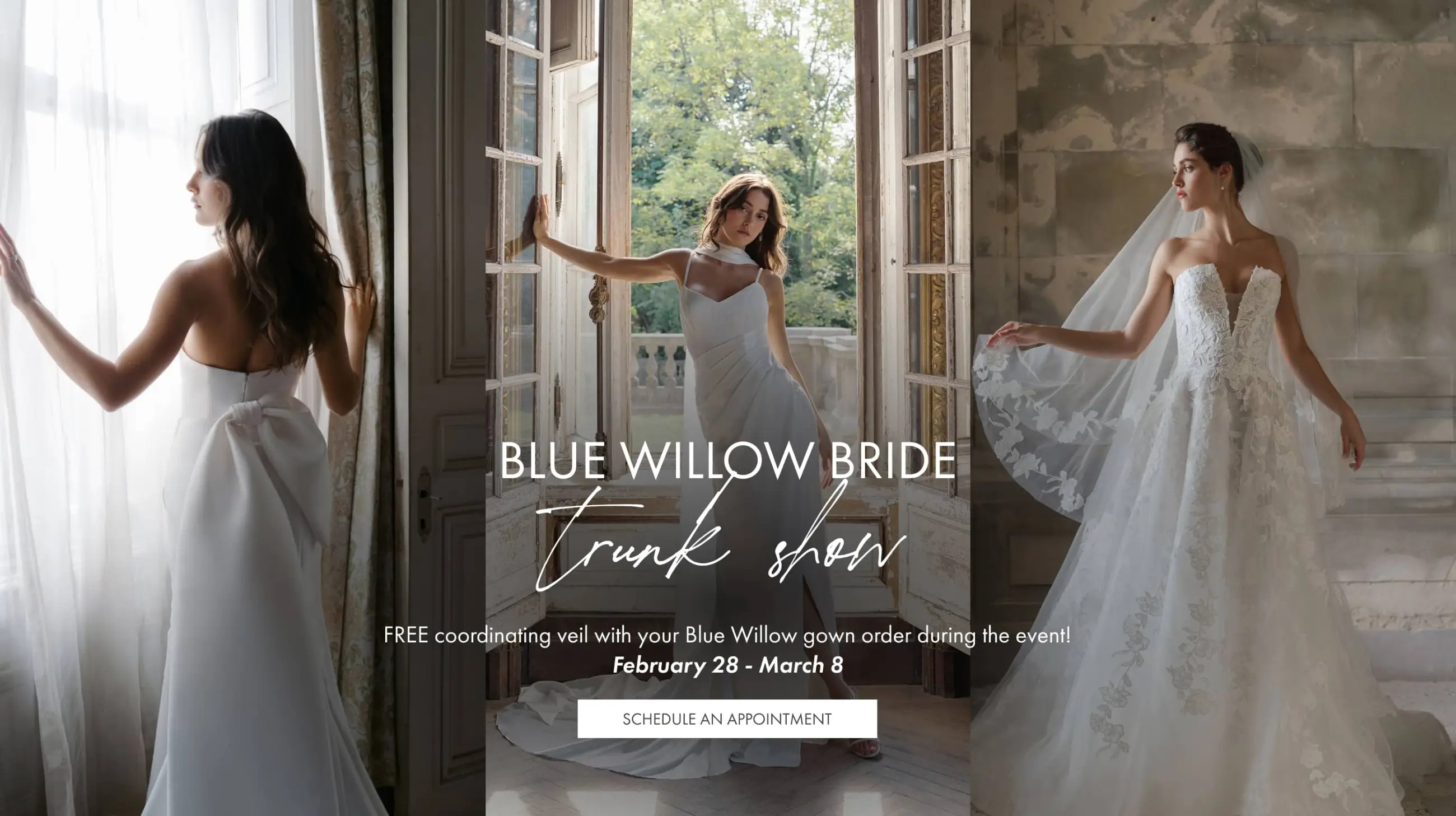 Blue Willow Bride Trunk Show at Madeleine's Daughter